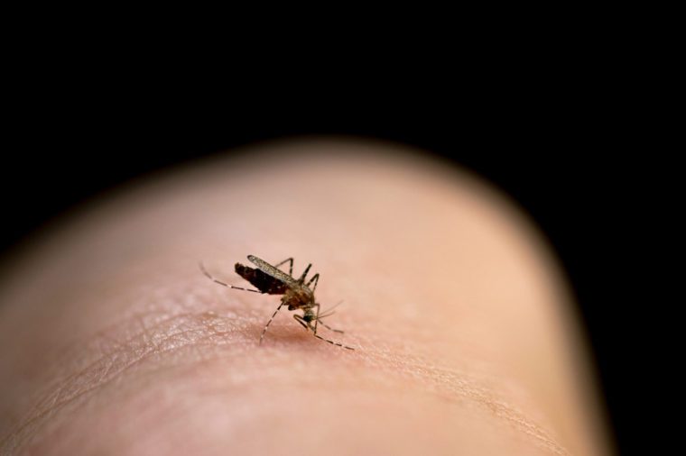The-Weird-Reason-Your-Mosquito-Bites-Itch-for-So-Long-760x506